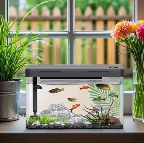 Mini aquarium starterkit – Desktop acryl aquarium met filter, Dieren en Toebehoren, Vissen | Aquaria en Toebehoren, Nieuw, Verzenden