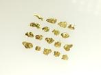 Briljante Gouden Nuggets - Yukon/Canada Goud nuggets- 0.5 g