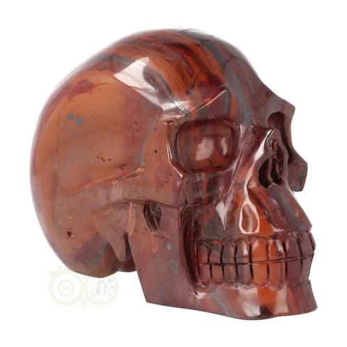 Tijgerijzer schedel XL  Nr 5   - 3.8 kg, Sieraden, Tassen en Uiterlijk, Edelstenen, Nieuw, Verzenden