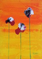 Terenzio Lana - papa giallo rosso