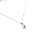 Zilveren mini dandelion ketting, Verzenden, Nieuw, Zilver