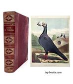 Fulton - The Illustrated Book of Pigeons - 1880