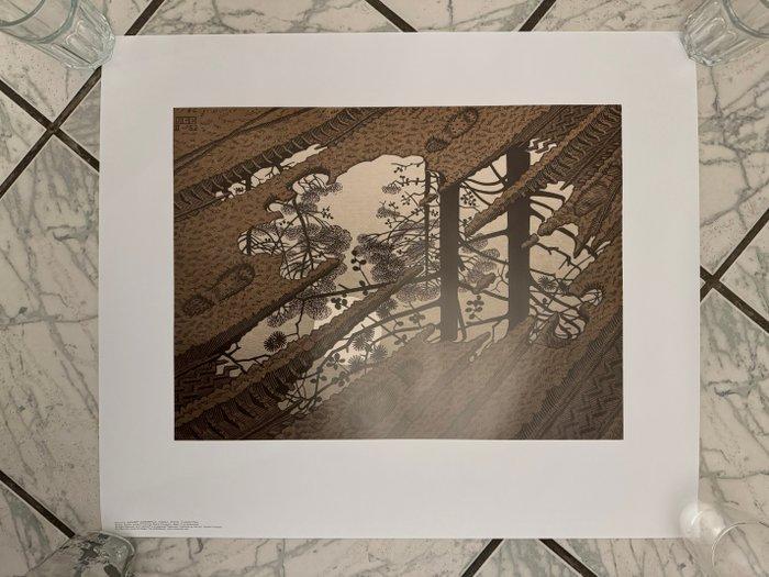 M.C. Escher (1898-1972) - Modderplas, Antiek en Kunst, Antiek | Overige Antiek