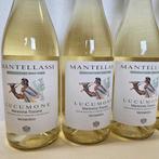2024 Fattoria Mantellassi, Lucumone Vermentino - Toscaanse, Nieuw