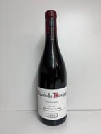 2023 Domaine Roumier - Chambolle Musigny - 1 Fles (0,75, Verzamelen, Nieuw