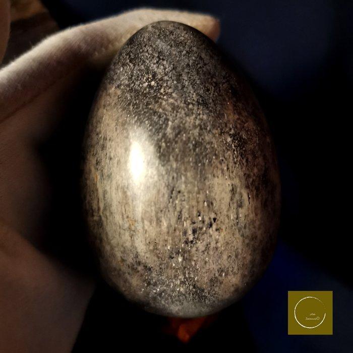 Uitgehakt dinosaurusbot - Fossiel bot - 5.2 cm - 5.2 cm, Verzamelen, Mineralen en Fossielen