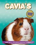 9789463416863 Handboek Huisdier - Cavias, Boeken, Verzenden, Nieuw, Pat Jacobs