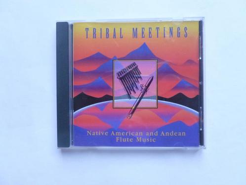 Tribal Meetings - Native American an Andean Flute Music, Cd's en Dvd's, Cd's | Meditatie en Spiritualiteit, Verzenden