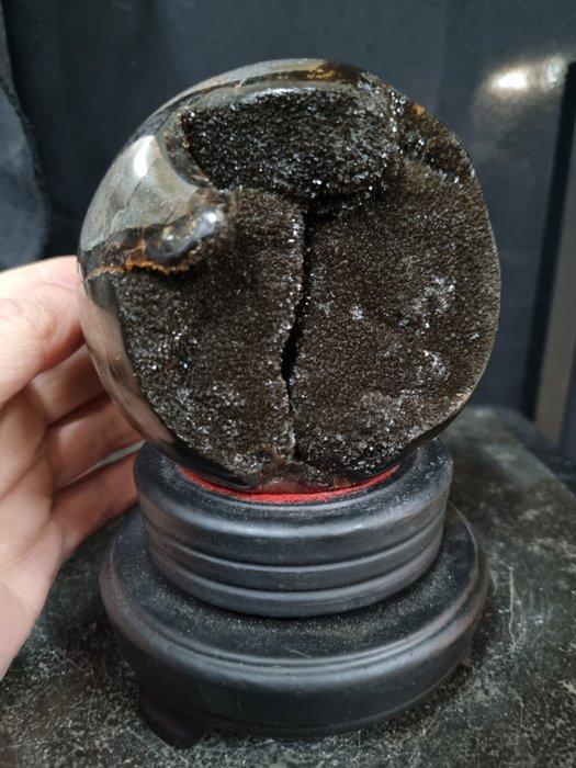 Beautiful large Egg - Septaria - Septarie - Dragon egg -, Verzamelen, Mineralen en Fossielen