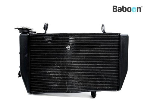 Radiateur Ducati Multistrada 1260 S 2018-2020 (MTS1200), Motoren, Onderdelen | Ducati, Gebruikt, Verzenden
