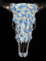 GEEN VEILINGRESERVE - Authentieke koe schedel met