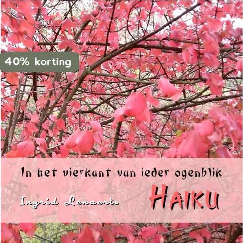 In het vierkant van ieder ogenblik 9789078459798, Boeken, Gedichten en Poëzie, Zo goed als nieuw, Verzenden