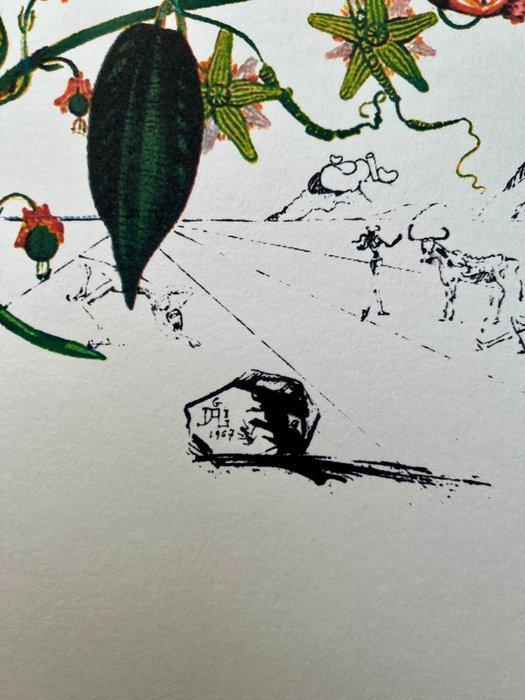 Salvador Dali (1904-1989) - Passion Flower-Limited Edition, Antiek en Kunst, Antiek | Overige Antiek