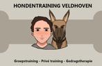 Honden gedragstherapie - problemen oplossen aan huis., Training of Cursus