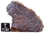 NWA 15027 mesosideriet breccia meteoriet - 24 g - (1)
