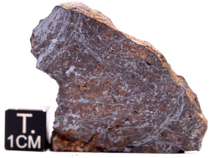 NWA 15027 mesosideriet breccia meteoriet - 24 g - (1), Verzamelen, Mineralen en Fossielen