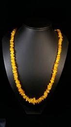 Baltische amber - extra lange strengen - ketting - Barnsteen, Nieuw