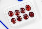 Zonder Minimumprijs - 8 pcs Spinel - 3.30 ct - Antwerp, Nieuw