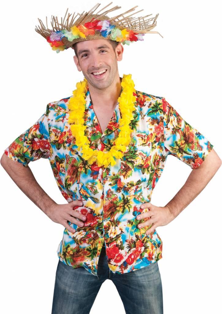 Hawaii blouse Andrew, Kleding | Heren, Carnavalskleding en Feestkleding, Nieuw, Ophalen of Verzenden