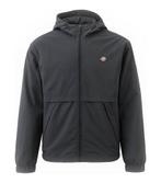 Dickies Jas in maat S Zwart, Kleding | Heren, Jassen | Winter, Verzenden, Zo goed als nieuw, Zwart, Dickies