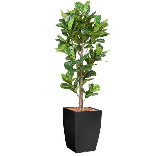 Ficus Lyrata kunstplant, H230cm, Huis en Inrichting, Kamerplanten, Ophalen of Verzenden