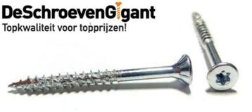 RVS Torx Schroeven nergens goedkoper!