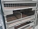 Gitterbox Gitterboxen Gaasbox Gaascontainer kuubskist GB010, 100 cm of meer, 60 cm of meer, 50 cm of meer, Nieuw