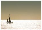 Roberto Cavalli (1971) - Into the wild #725 / sun boat ocean