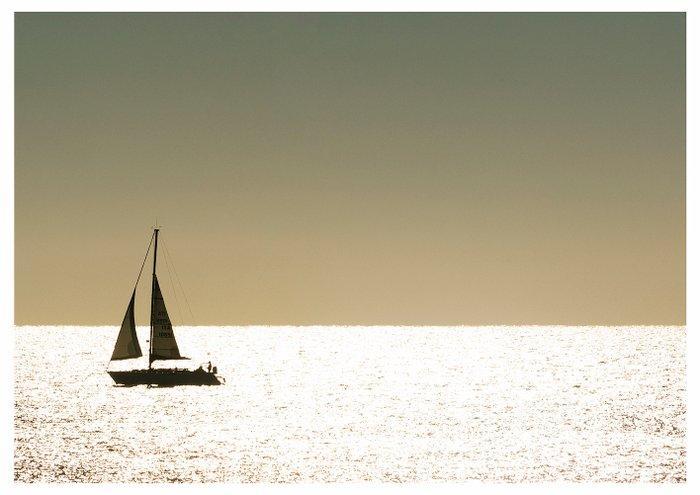 Roberto Cavalli (1971) - Into the wild #725 / sun boat ocean, Antiek en Kunst, Kunst | Designobjecten