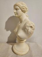Beeld, Venere - 23 cm - Hars