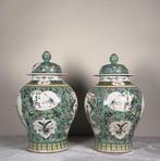 Flesvaas - Porselein - China - Qing Dynastie (1644-1911), Antiek en Kunst
