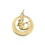 Gouden sterrenbeeld hanger; Waterman (Alle Gouden sieraden), Ophalen of Verzenden, Gebruikt, Goud, Overige merken