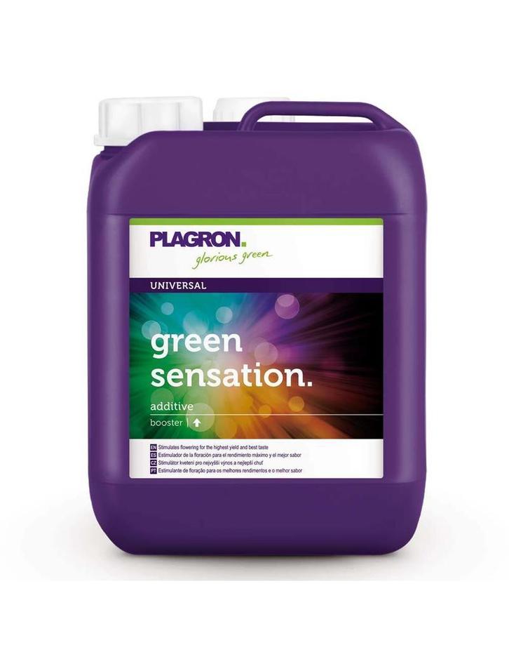 Plagron | Green Senstation | Bloeistimulator | 5 liter, Tuin en Terras, Kweekspullen, Ophalen of Verzenden