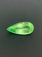 1 pcs Groen Paraiba toermalijn - 5.49 ct - nternational, Sieraden, Tassen en Uiterlijk, Edelstenen, Nieuw
