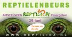 Reptielenbeurs AMSTELVEEN 29 juni, Dieren en Toebehoren, Reptielen en Amfibieën, Overige soorten