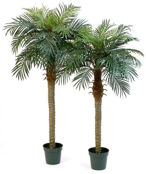 Kunstplant Phoenix Palmboom 180 cm, Huis en Inrichting, Kamerplanten