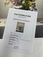 Tessa Posthuma de Boer - Summerflowers