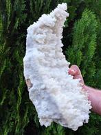 Aragoniet Coralloid Crystals Museum specimen uit Griekenland