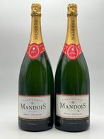 2013 Champagne Mandois, Brut origine - Champagne - 2 Magnums, Nieuw