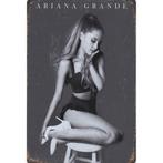 Wandbord - Ariana Grande, Verzamelen, Muziek, Artiesten en Beroemdheden, Ophalen of Verzenden, Nieuw, Poster, Artwork of Schilderij