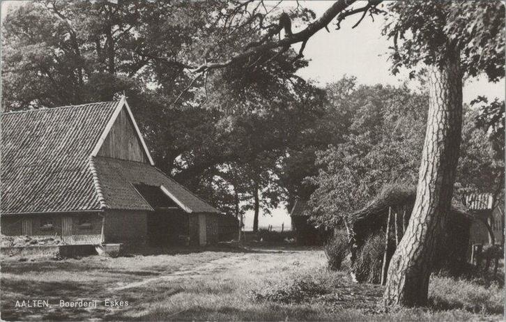 AALTEN - Boerderij Eskes, Verzamelen, Ansichtkaarten | Nederland, Verzenden