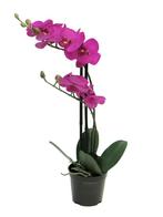 RT Phalaenopsis Bora x2 in pot 50 cm fuchsia kunstbloemen -, Huis en Inrichting, Woonaccessoires | Overige, Nieuw, Verzenden