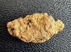 Goud Goud nugget- 2.66 g - (1)