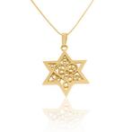 Davidster hangertje, schitterend 14K gouden Davidster han..., Verzenden, Nieuw