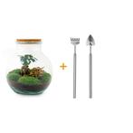 DIY terrarium - Teddy bonsai -  26,5 cm - Rake + Shovel, Verzenden