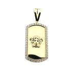 Gouden hanger met hoofd van Medusa (kettinghanger), Ophalen of Verzenden, Gebruikt, Goud, Overige merken