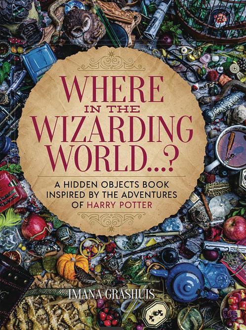 WHERE IN WIZARDING WORLD HIDDEN OBJECTS PICTURE HC, Boeken, Overige Boeken, Zo goed als nieuw, Verzenden