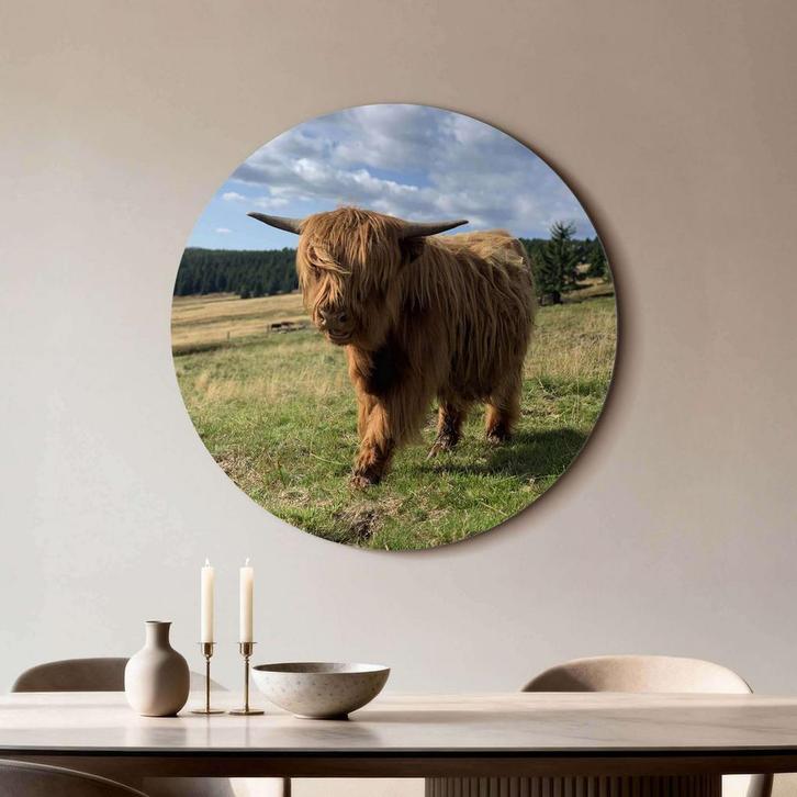 Hooglander Zonlicht – Muurcirkel - ø 80 cm +Ophangset, Huis en Inrichting, Woonaccessoires | Schilderijen, Tekeningen en Foto's