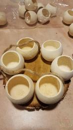 Boomstamschijf Berkenschijf rond +/-13-15 cm. Boomstamschijf, Hobby en Vrije tijd, Knutselen, Ophalen of Verzenden, Nieuw