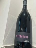 2016 Domaine de Fondreche Divergente - Ventoux - 1 Magnum, Nieuw